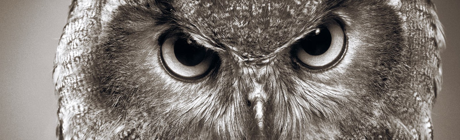 Alexander Von Reiswitz - Bilder, Werke und Fotografie