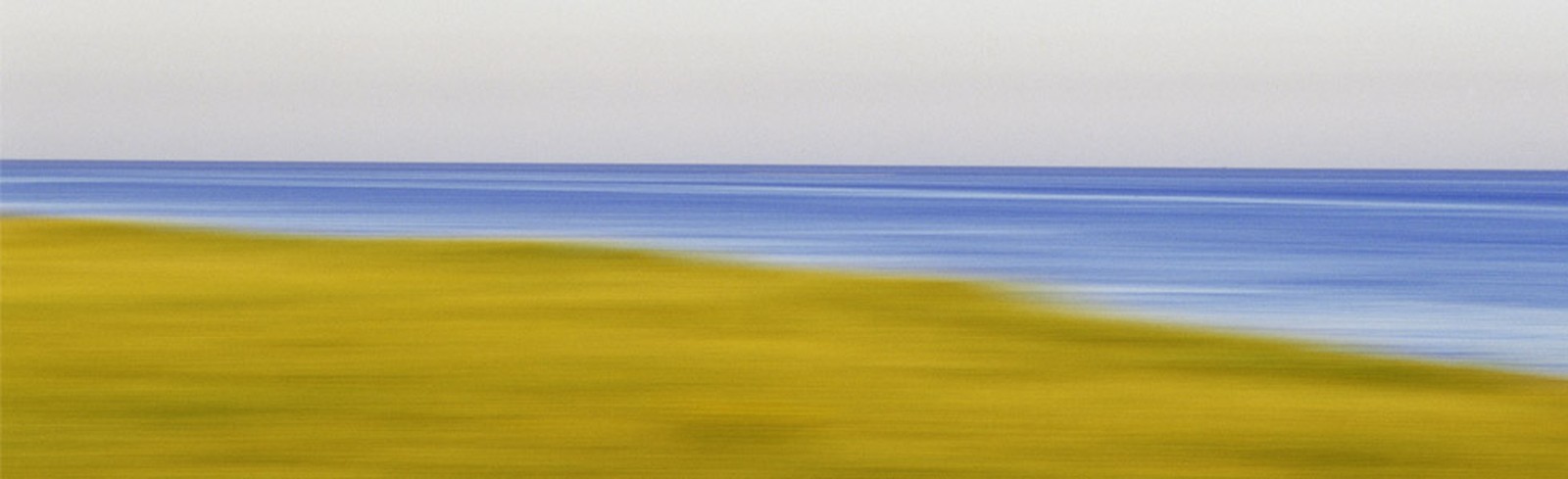 Alison Shaw - Bilder, Werke und Fotografie