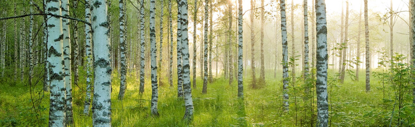 André Wagner - Bilder, Werke und Fotografie