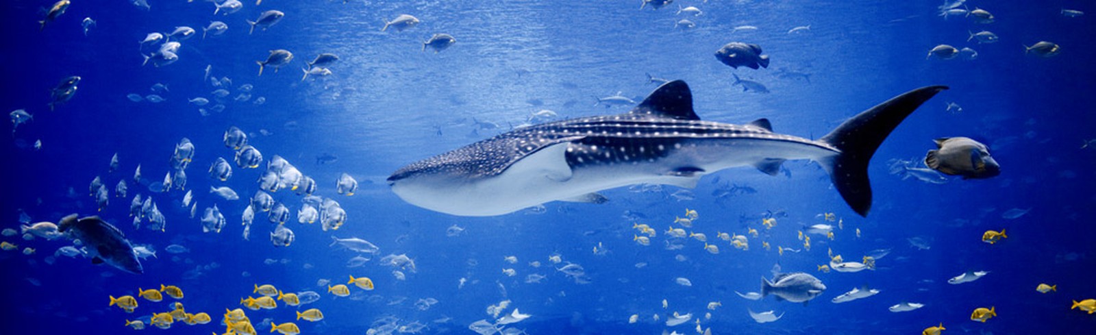 Hiepler & Brunier - Bilder, Werke und Fotografie