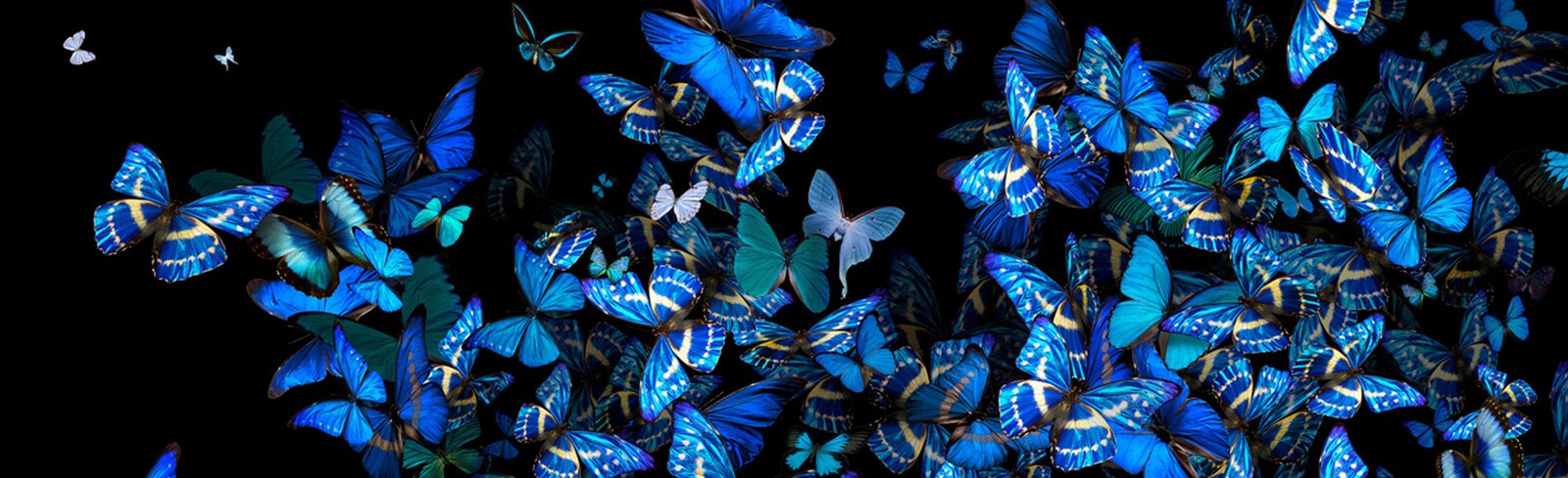 Heiko Hellwig - Bilder, Werke und Fotografie