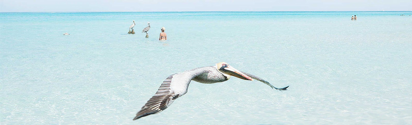 Julia Christe - Bilder, Werke und Fotografie