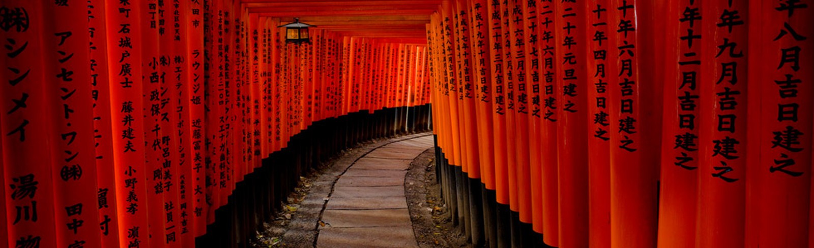 Farin Urlaub - Bilder, Werke und Fotografie