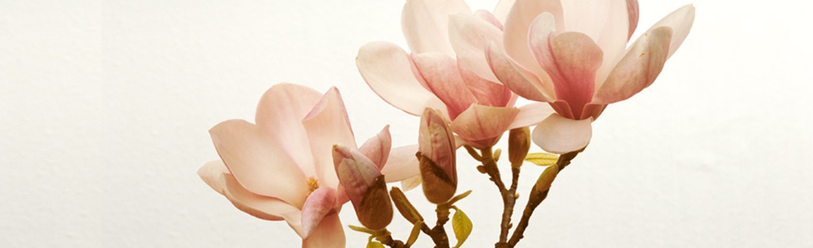 Kris Scholz - Bilder, Werke und Fotografie