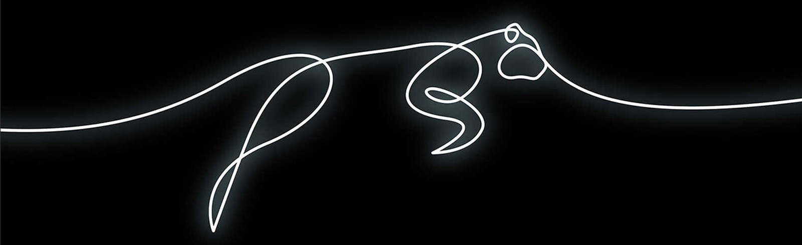 Loooop Studio - Bilder, Werke und Fotografie