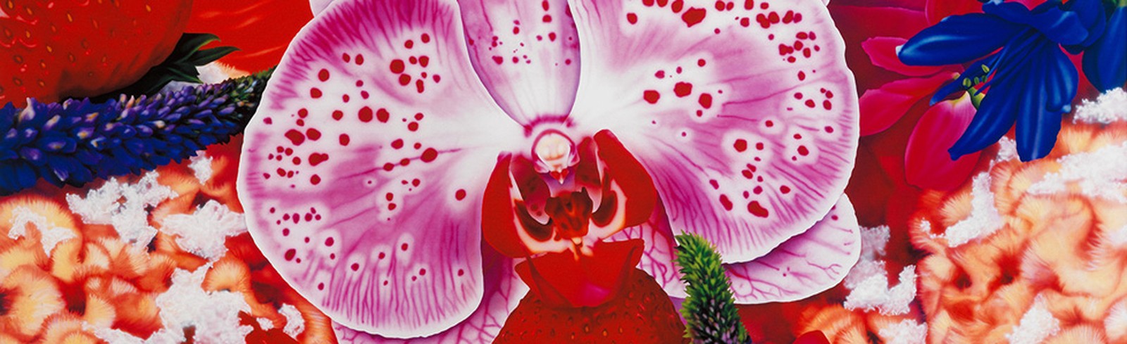 Marc Quinn - Bilder, Werke und Fotografie