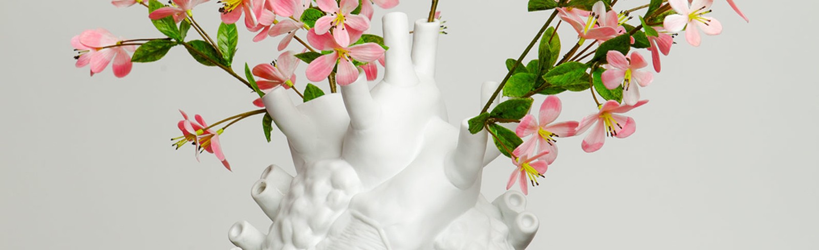 Marcantonio - Bilder, Werke und Fotografie