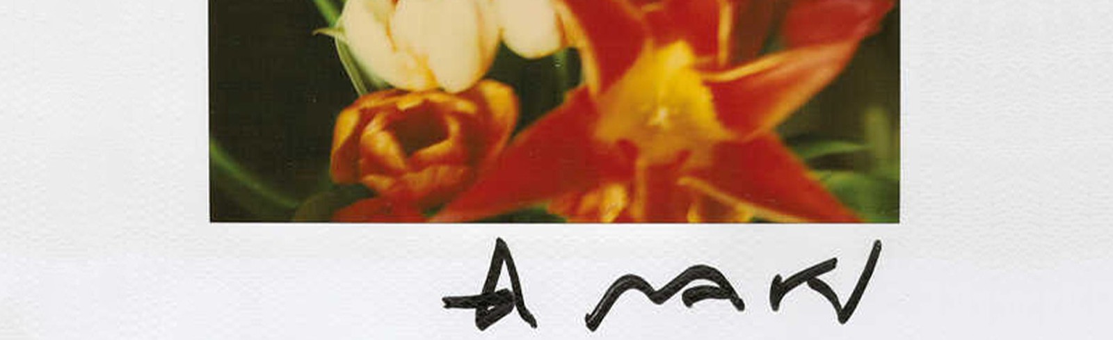 Nobuyoshi Araki - Bilder, Werke und Fotografie