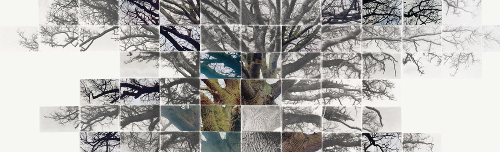 Noel Myles - Bilder, Werke und Fotografie