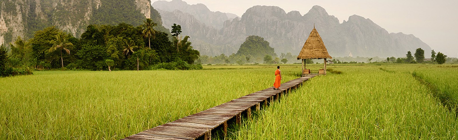 Rui Camilo - Bilder, Werke und Fotografie