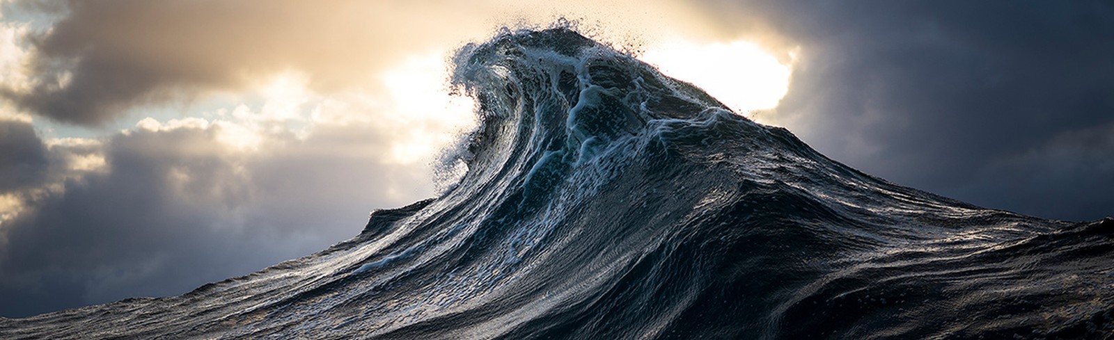 Ray Collins - Bilder, Werke und Fotografie
