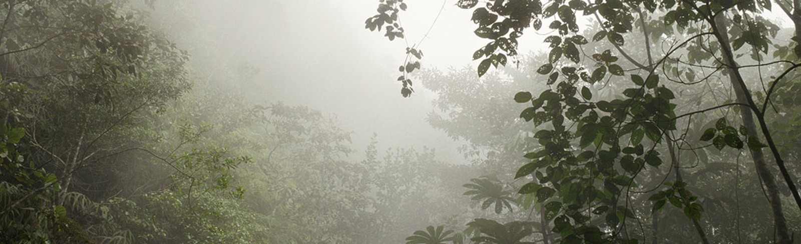 Stephanie Kloss - Bilder, Werke und Fotografie