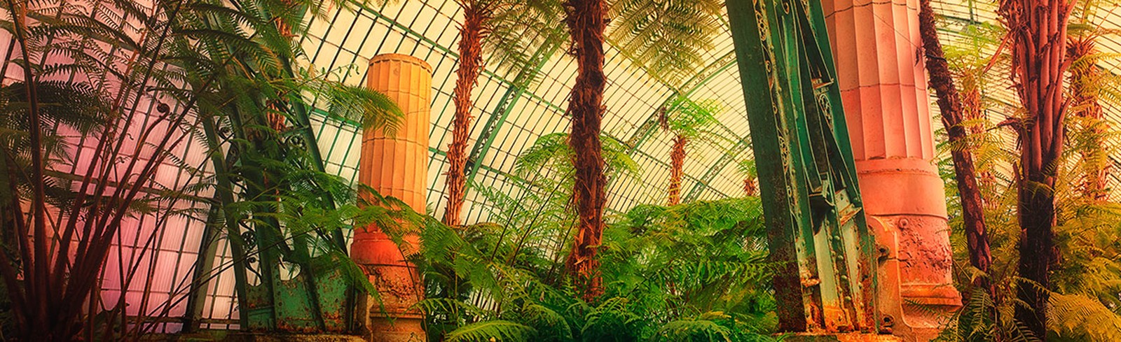 Werner Pawlok - Bilder, Werke und Fotografie