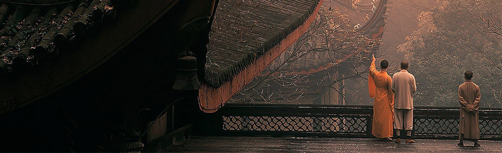 Zhang Wang - Bilder, Werke und Fotografie